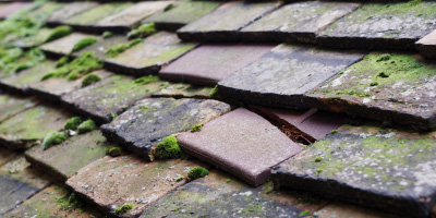 Finmere roof repair costs